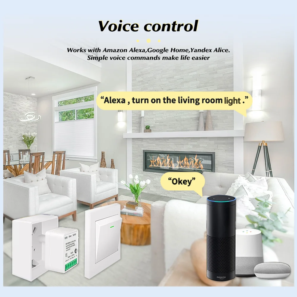 For Tuya Mini Smart WiFi Switc - огляд і ціна Home Automation Diy