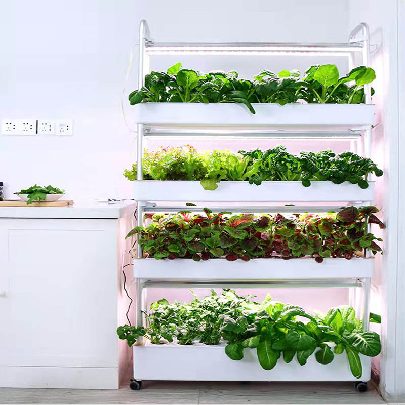 ydroponic Planting System Smar - огляд і ціна Home Automation Diy