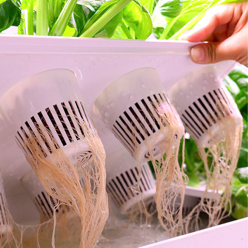 ydroponic Planting System Smar - огляд і ціна Home Automation Diy