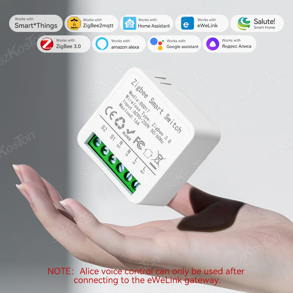 16A Mini ZigBee Smart Switch e - огляд і ціна Home Automation Diy