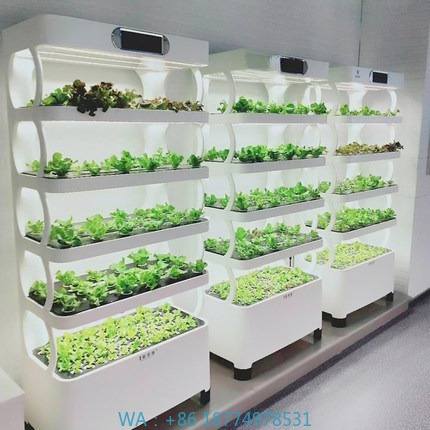Hydroponic Automated Grow Syst - огляд і ціна Home Automation Diy